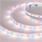 Лента RT-B60-10mm 24V RGBW-Warm (14.4 W/m, IP20, 5m) (Arlight, Открытый) 018327(3)