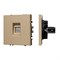 Механизм компьютерной розетки SCT-NOBE-MPC1-SFPL-GD (RJ-45, CAT6) (Arlight, -) 054306
