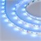 Лента RT-B60-10mm 24V RGBW-White (14.4 W/m, IP20, 5m) (Arlight, Открытый) 018325(3)