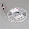 Лента RT-B60-10mm 24V RGBW-White (14.4 W/m, IP20, 5m) (Arlight, Открытый) 018325(3)