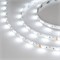 Лента RT-B60-10mm 24V RGBW-White (14.4 W/m, IP20, 5m) (Arlight, Открытый) 018325(3)