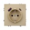 Механизм розетки с USB зарядкой SCT-NOBE-MUAC-SFPL-GD (230V, 16A) (Arlight, -) 054286