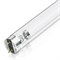 Лампа бактерицидная Ledvance TIBERA UVC  15W T8 G13 d26x438 UVC 253,7nm без озона 4058075499201 - фото 26143