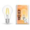 Лампа Gauss Smart Home Filament А60 7W 806lm 2700К E27 диммируемая LED 1/10/40 1200112 - фото 27780