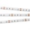 Лента RTW 2-5000SE 12V Green (3528, 300 LED, LUX) (arlight, 4.8 Вт/м, IP65) 014793 - фото 31778