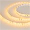 Лента RTW 2-5000SE 24V Yellow 2x (3528, 600 LED, LUX) (arlight, 9.6 Вт/м, IP65) 015132 - фото 31861