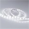 Лента RTW 2-5000SE 12V White (3528, 300 LED, LUX) (arlight, 4.8 Вт/м, IP65) 014627(B) - фото 31875