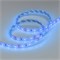 Лента RTW 2-5000SE 12V Blue (3528, 300 LED, LUX) (arlight, 4.8 Вт/м, IP65) 014799(1) - фото 31878