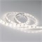 Лента RTW 2-5000SE 12V Day (3528, 300 LED, LUX) (arlight, 4.8 Вт/м, IP65) 015447(B) - фото 31889
