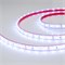 Лента RTW 2-5000PGS 12V Cool (3528, 300 LED, LUX) (arlight, 4.8 Вт/м, IP67) 016839 - фото 31891