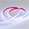 Лента RTW 2-5000PGS 12V Cool (3528, 300 LED, LUX) (arlight, 4.8 Вт/м, IP67) 016839 - фото 31892