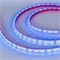 Лента RTW 2-5000PGS 12V Blue (3528, 300 LED, LUX) (arlight, 4.8 Вт/м, IP67) 013393 - фото 31897
