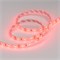Лента RTW 2-5000SE 12V Red (3528, 300 LED, LUX) (arlight, 4.8 Вт/м, IP65) 015417 - фото 31903