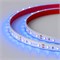 Лента RTW 2-5000P 12V Blue (3528, 300 LED, LUX) (arlight, 4.8 Вт/м, IP66) 014967 - фото 31914