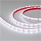 Лента RTW 2-5000PGS 12V White (3528, 300 LED, LUX) (arlight, 4.8 Вт/м, IP66) 013529 - фото 31919