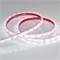 Лента RTW 2-5000PGS 12V White (3528, 300 LED, LUX) (arlight, 4.8 Вт/м, IP66) 013529 - фото 31920