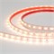 Лента RTW 2-5000PS 12V Warm2700 (3528, 300 LED, LUX) (arlight, 4.8 Вт/м, IP67) 028506 - фото 31921