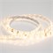 Лента RTW 2-5000SE 24V Warm (3528, 300 LED, LUX) (arlight, 4.8 Вт/м, IP65) 021556(1) - фото 31978