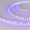 Лента RT 2-5000 12V UV400 2X (3528, 600 LED, W) (Arlight, 9.6 Вт/м, IP20) 012812 - фото 31980