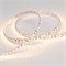 Лента RT 2-5000 12V Warm 2x (3528, 600 LED, LUX) 012335 - фото 32001
