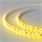 Лента RT 2-5000 12V Yellow-5mm 2x(3528,600LED,LUX) 2000000245232 - фото 32038