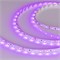 Лента RT 2-5000 12V Pink (3528, 300 LED, LUX) (arlight, 4.8 Вт/м, IP20) 013571 - фото 32052