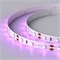 Лента RT 2-5000 12V Pink (3528, 300 LED, LUX) (arlight, 4.8 Вт/м, IP20) 013571 - фото 32053
