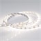 Лента RT 2-5000 12V Day White (3528, 300 LED, LUX) 011568 - фото 32065