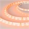 Лента RT 2-5000 12V UV400 (3528, 300 LED, W) (arlight, 4.8 Вт/м, IP20) 012813 - фото 32069