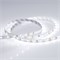 Светодиодная лента RT 2-5000 12V White (3528, 300 LED, LUX) 010522 010522B - фото 32076