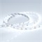 Лента RT 2-5000 12V Cool 8K (3528, 300 LED, LUX) (arlight, 4.8 Вт/м, IP20) 014884(B) - фото 32080