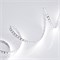 Лента RT 2-5000 24V White 6000К 2X (3528, 600 LED, LUX) 010347 - фото 32100