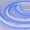 Лента RT 2-5000 24V Blue 2x (3528, 600 LED, LUX) (arlight, 9.6 Вт/м, IP20) 008783(1) - фото 32102