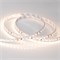Лента RT 2-5000 24V Warm2700 2x (3528, 600 LED, CRI98) (arlight, 9.6 Вт/м, IP20) 021417(B) - фото 32120