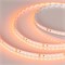 Лента RT 2-5000 24V Orange 2x (3528, 600 LED, LUX) (arlight, 9.6 Вт/м, IP20) 015896 - фото 32131