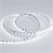 Лента RT 2-5000 24V White-5mm 2x(3528, 600LED, LUX 015651 - фото 32150
