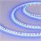 Лента RT 2-5000 24V Blue 5mm 2x (3528, 600 LED, LUX) (arlight, 9.6 Вт/м, IP20) 015660(1) - фото 32153