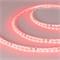 Лента RT 2-5000 24V Red-5mm 2х(3528, 600 LED, LUX) 2000000244334 - фото 32163