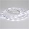 Лента RT 2-5000 24V White6000 0.5x (3528, 150 LED, LUX) (arlight, 2.9 Вт/м, IP20) 019917 - фото 32244