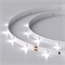 Лента RT 2-5000 24V White6000 0.5x (3528, 150 LED, LUX) (arlight, 2.9 Вт/м, IP20) 019917 - фото 32245