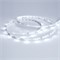 Лента RT 2-5000 24V Cool 8K 0.5x (3528, 150 LED, LUX) (arlight, 2.9 Вт/м, IP20) 019916 - фото 32247