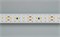 Лента RT 2-5000 36V Day White2x2(3528,1200 LED,LUX 2000000245782 - фото 32368