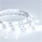 Лента RTW 2-5000SE 12V Cool (5060, 150 LED, LUX) (arlight, 7.2 Вт/м, IP65) 016834 - фото 32415