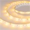 Лента RTW 2-5000SE 12V Yellow (5060, 150 LED, LUX) (arlight, 7.2 Вт/м, IP65) 016509 - фото 32429