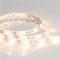 Лента RTW 2-5000SE 12V Warm (5060, 150 LED, LUX) (arlight, 7.2 Вт/м, IP65) 015129 - фото 32432