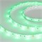 Лента RTW 2-5000SE 12V Green (5060, 150 LED, LUX) (arlight, 7.2 Вт/м, IP65) 016508 - фото 32444