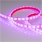 Лента RTW 2-5000PGS 12V RGB 2x (5060, 300 LED, LUX) (arlight, 14.4 Вт/м, IP67) 013401 - фото 32449