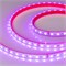 Лента RTW 2-5000PS 24V RGB 2x (5060, 300 LED, LUX) (arlight, 14.4 Вт/м, IP67) 021400 - фото 32467
