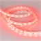 Лента RTW 2-5000SE 24V Red 2x (5060, 300 LED, LUX) (arlight, 14.4 Вт/м, IP65) 015597 - фото 32526