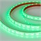 Лента RTW 2-5000PGS 24V Green 2X (5060, 300 LED) 2000000244594 - фото 32573